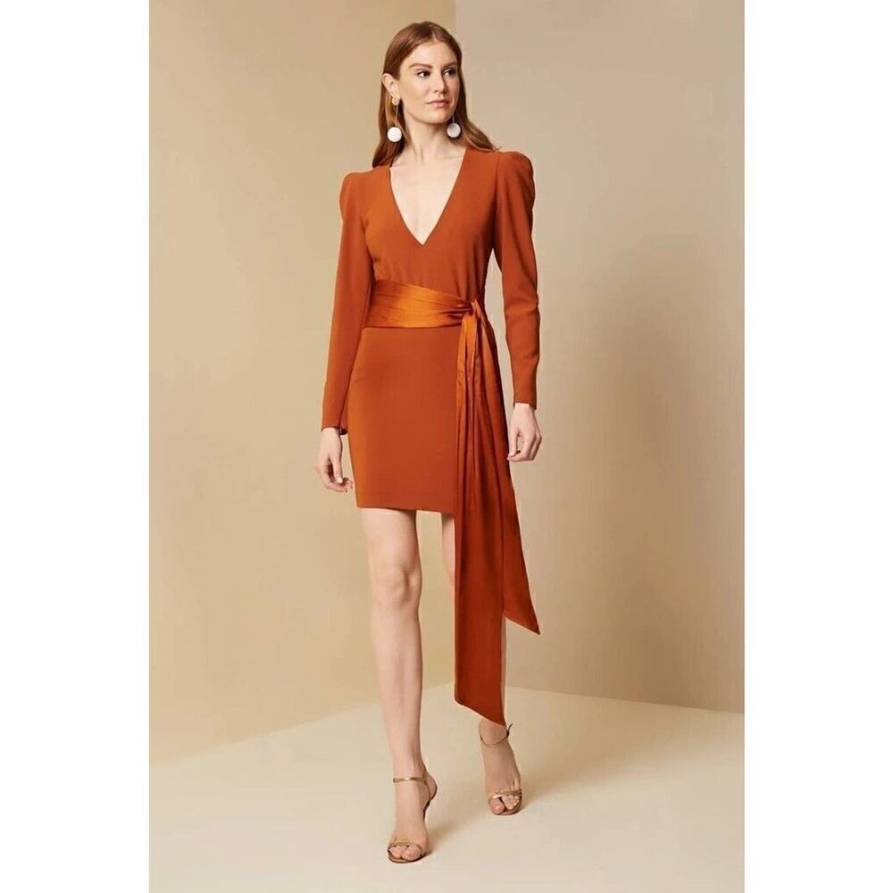 SACHIN + BABI Long Sleeve Amina Satin Tie Dress Burnt orange size US US 8 $550